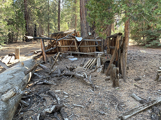 sawmill sheds